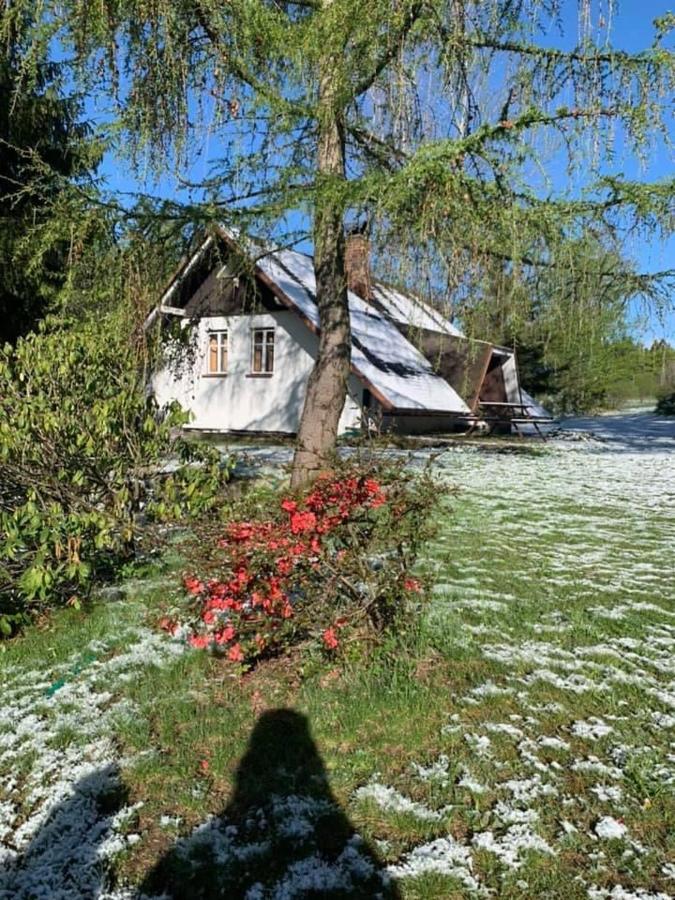 Chata Sedmidomi Lučany nad Nisou Exteriér fotografie